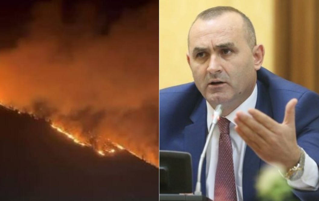  Lura digjet  Prokuroria të zgjohet    Manja kritika organit të akuzës  Gjeni zjarrvënësit  Nëse zvarriten hetimet  i drejtohem ILD për 