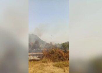 Zjarri në Vranisht shkrumbon banesën, s’ka të lënduar! Flakët ‘përpijnë’ disa hektarë me pyje, vijon beteja nga terreni