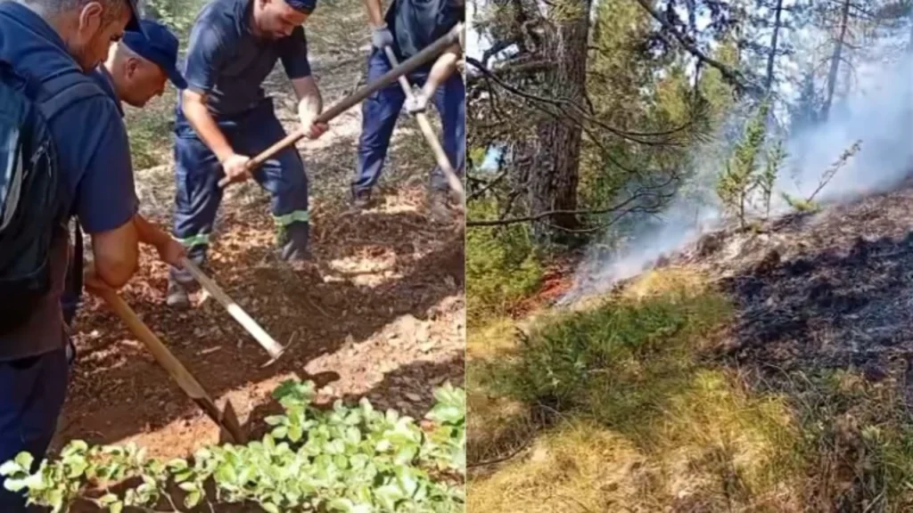 Zjarret përfshijnë Dibrën! Tre vatra vijojnë aktive, flakët pranë banesave, rrezik për përhapje drejt Matit