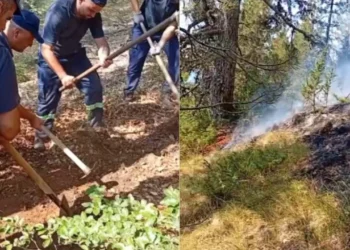 Zjarret përfshijnë Dibrën! Tre vatra vijojnë aktive, flakët pranë banesave, rrezik për përhapje drejt Matit