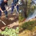 Zjarret përfshijnë Dibrën! Tre vatra vijojnë aktive, flakët pranë banesave, rrezik për përhapje drejt Matit
