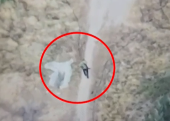 Ylli Zalla monitorohej me dron ‘Bayraktar’, para arrestimit ‘patrullonte’ me kallash në dorë (VIDEO)