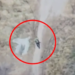 Ylli Zalla monitorohej me dron ‘Bayraktar’, para arrestimit ‘patrullonte’ me kallash në dorë (VIDEO)