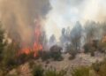 Zjarr i madh në Fushë-Bulqizë, era favorizon flakët, forcat operacionale nuk depërtojnë dot për shkak të terrenit