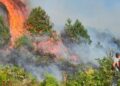 Flakët iu afruan banesave, zjarri në Drenie del jashtë kontrollit, kërkohet ndërhyrje nga ajri