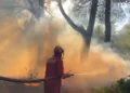 15 vatra zjarri në vend, 7 aktive! Alarm në Krastë të Krujës dhe në Malin e Çikës, ndërhyrje nga ajri