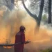 15 vatra zjarri në vend, 7 aktive! Alarm në Krastë të Krujës dhe në Malin e Çikës, ndërhyrje nga ajri