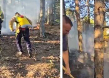 Flakët rrezikojnë kurorën e gjelbër të Pukës, dyshohet për zjarrvënie të qëllimshme