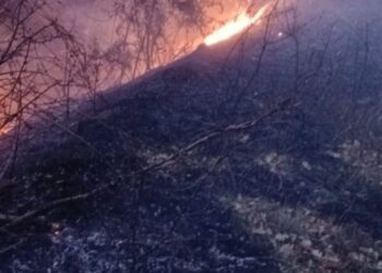 Vatër e madhe zjarri në Cërrik, operacion nga toka për shuarjen e flakëve, s’ka rrezik për zonat e banuara!