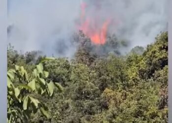 Rikthehen zjarret në Krastë të Krujës, situata kritike për shkak të depos me lëndë plasëse! Era favorizon flakët, vatër edhe në Abazaj