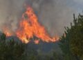 Vatër e fuqishme zjarri pranë kufirit greko-shqiptar, flakët përpijnë hektarë me pyje e bimësi!