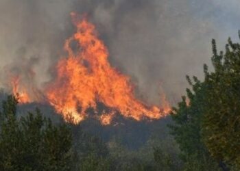 Vatër e fuqishme zjarri pranë kufirit greko-shqiptar, flakët përpijnë hektarë me pyje e bimësi!