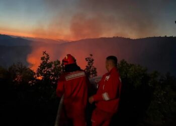 Zjarre në Lezhë e Mirditë, disa vatra ende aktive! Terreni vështirëson aksionin, kritike situate në Kashnjet dhe Tenë