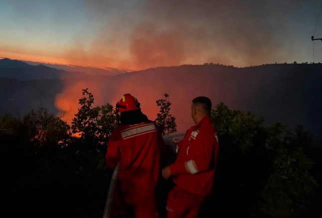 Zjarre në Lezhë e Mirditë  disa vatra ende aktive  Terreni vështirëson aksionin  kritike situate në Kashnjet dhe Tenë