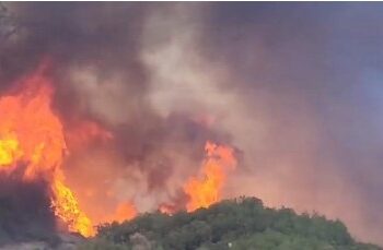 Zjarr i madh në Daias të Tiranës, helikopter nga ajri dhe forca nga terreni për shuarjen e flakëve!