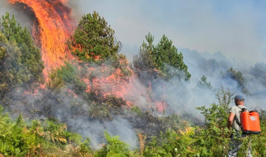 Flakët iu afruan banesave  zjarri në Drenie del jashtë kontrollit  kërkohet ndërhyrje nga ajri