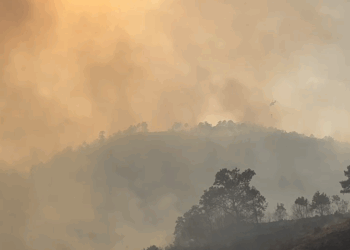 VIDEO/ Zjarret në Shkopet, përkeqësohet situata. Flakët rrethojnë një fermë blegtorale