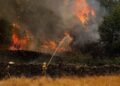 Raportohen 38 vatra zjarri. Situatë e rënduar në Lurë, Priskë dhe Elbasan, ndërhyrje nga toka dhe ajri. Përmirësohet situata në Krujë
