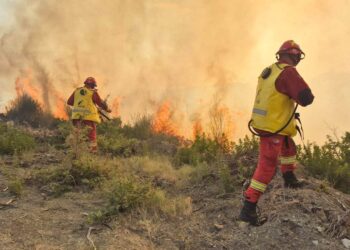 Zjarret në vend/ Bilanci i Emergjencave Civile: 14 vatra të raportuara në 12 orë, 5 mbeten aktive në të gjithë vendin