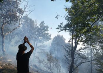 Zjarret, Ministria e Mbrojtjes: 6 vatra aktive, mbi 350 forca të angazhuara vijojnë betejën në terren