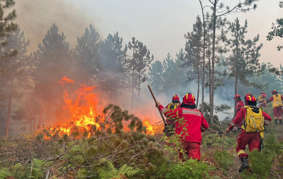 Zjarret  43 vatra në 24 orë  10 ende aktive  flakët mbajnë në alarm disa zona të vendit