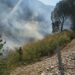 Vatër zjarri në Mallakastër, flakët përhapen me shpejtësi, zjarrfikësit në vendngjarje