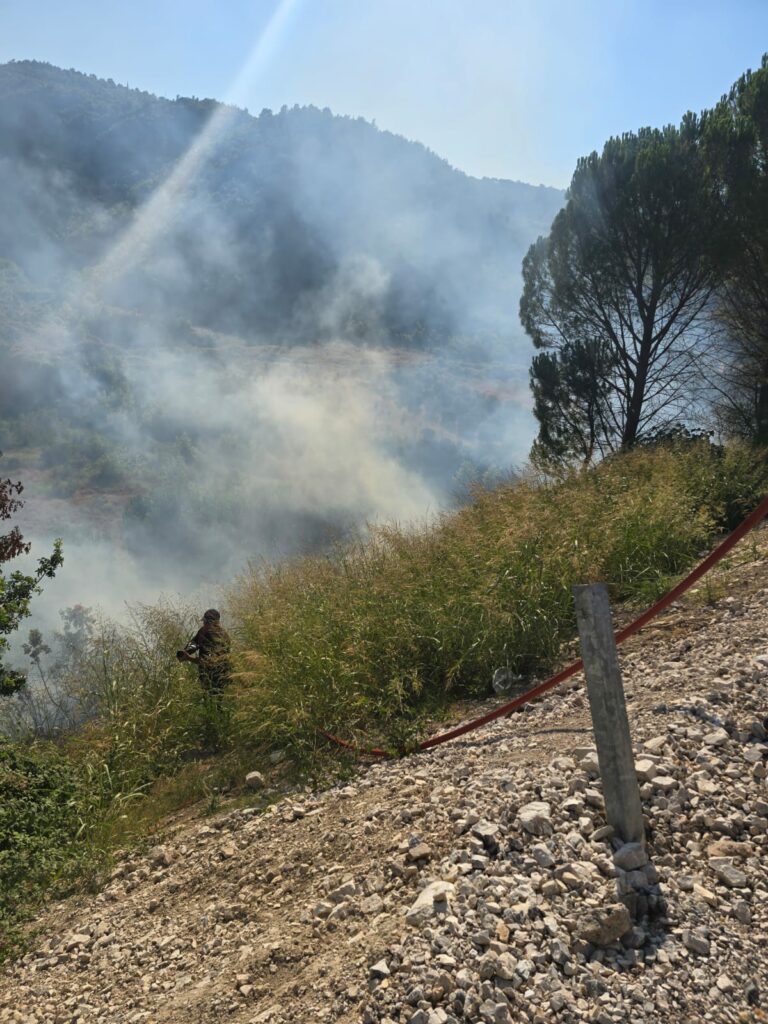 Vatër zjarri në Mallakastër  flakët përhapen me shpejtësi  zjarrfikësit në vendngjarje