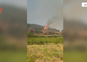 Rikthehen zjarret në Mallakastër, situatë kritike në një prej fshatrave! Rrezikohen dhe banesa, era favorizon flakët! Dyshohet i qëllimshëm