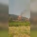 Rikthehen zjarret në Mallakastër, situatë kritike në një prej fshatrave! Rrezikohen dhe banesa, era favorizon flakët! Dyshohet i qëllimshëm