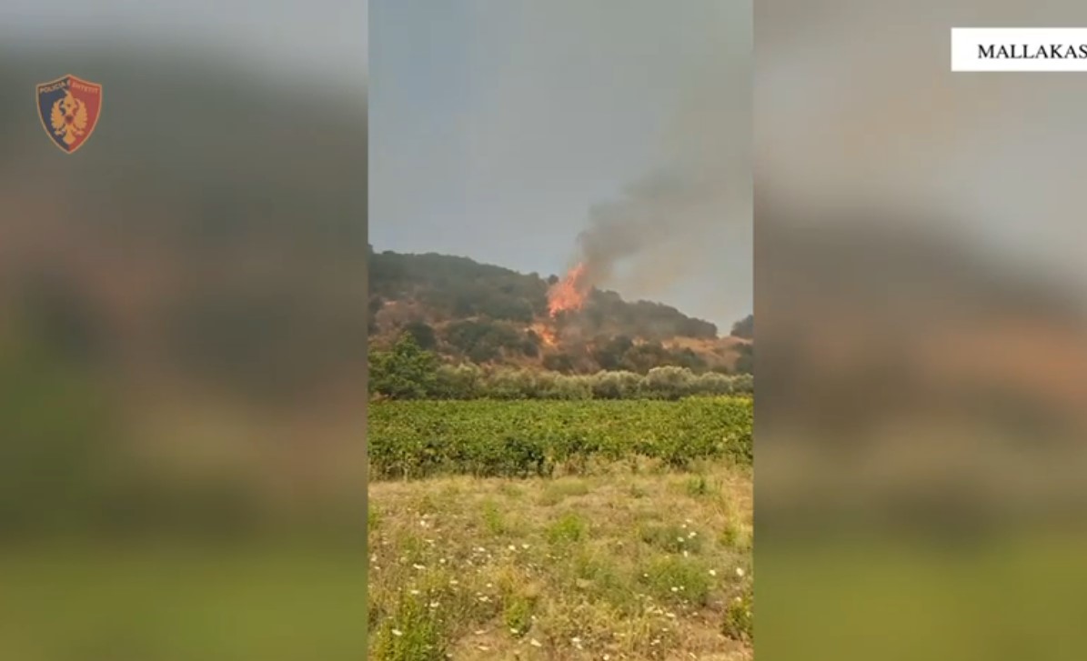 Rikthehen zjarret në Mallakastër  situatë kritike në një prej fshatrave  Rrezikohen dhe banesa  era favorizon flakët  Dyshohet i qëllimshëm