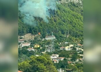 FOTO/ Zjarr i madh në masivin pyjor të Milotit, era favorizon vatrën, flakët po i afrohen dhe zonës së banuar!