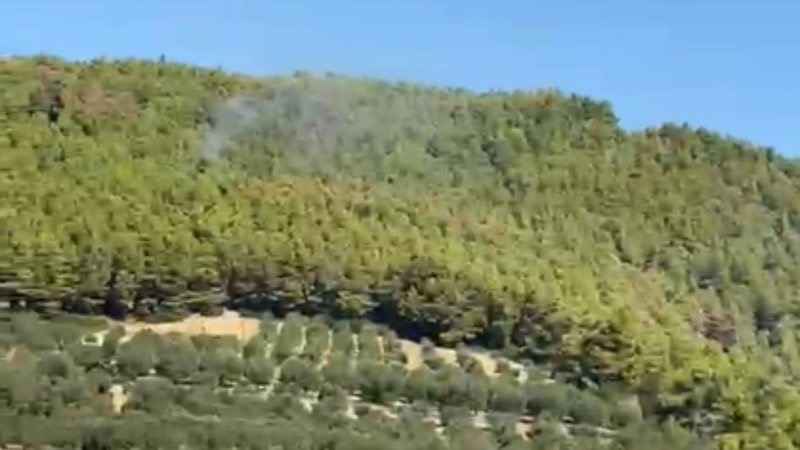 Fier  Flakët riaktivizohen në Peshtan  banori ngre dyshime për zjarrvënie të qëllimshme