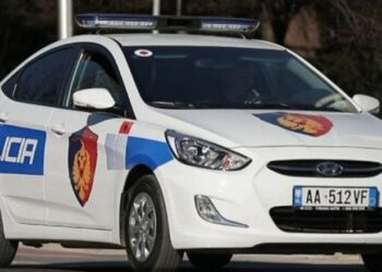 Arrestohen ish-kreu i Kadastrës Fier dhe biznesmeni, dyshohen për falsifikim pronash në Seman