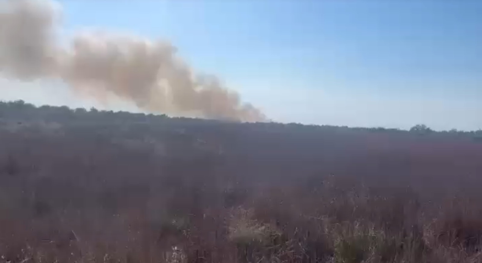 Katër vatra zjarri në pyllin e Semanit  flakët përhapen me shpejtësi nga era e fortë