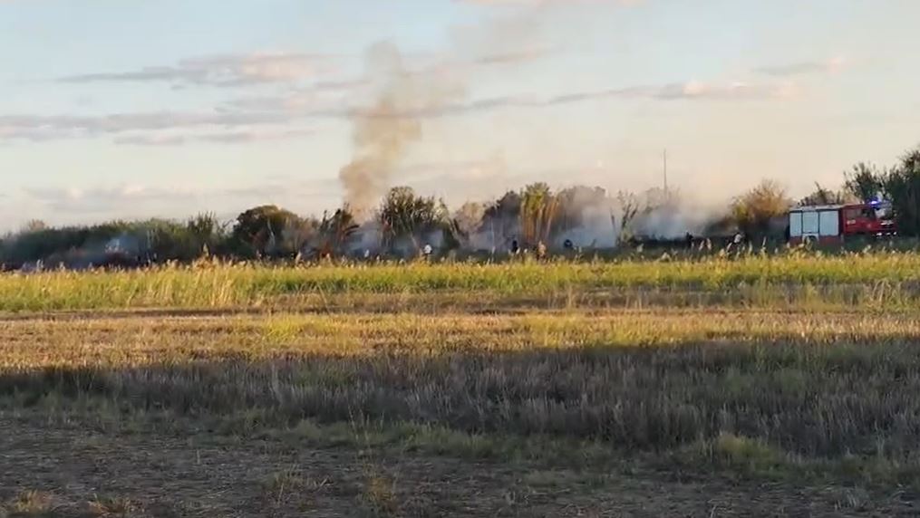 Fier  Zjarri përfshin tokat bujqësore në Ndërnenas  flakët drejt serave dhe stallave