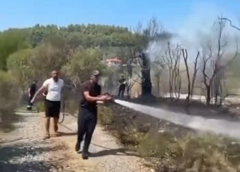 VIDEO/ Zjarr pas Kodrës së Krastës në Elbasan, rrezikohen dy banesa