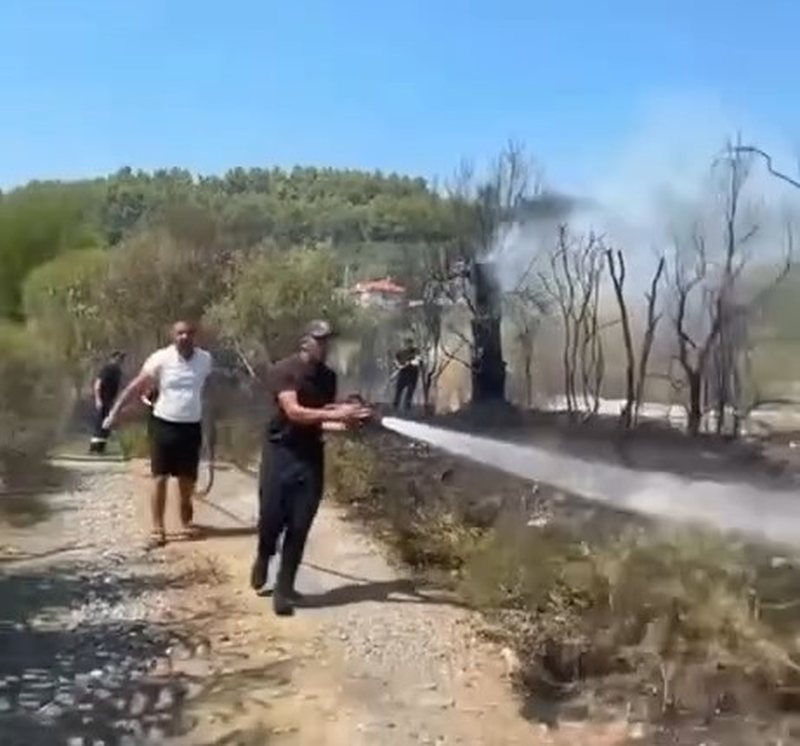 VIDEO  Zjarr pas Kodrës së Krastës në Elbasan  rrezikohen dy banesa