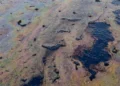 Katastrofë ekologjike! Sulmet ushtarake shkaktojnë derdhje masive nafte në Ngushticën e Hormuzit