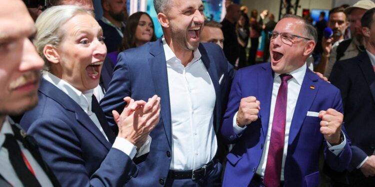 Çfarë është AfD-ja dhe pse po trondit politikën gjermane? -