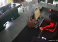 Vlorë/ Vodhi kasën e supermarketit pasi theu xhamin, arrestohet 32-vjeçari