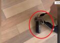 Tre operacione në Kukës dhe Tropojë, arrestohen tre persona, sekuestrohen armë e kanabis