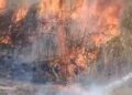Zjarr në hyrje të një fshati në Gjirokastër, zjarrfikësit shmangin përhapjen