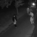 Shkëmbim zjarri në Holandë, një i vdekur dhe dy policë të plagosur, arrestohen 34 persona (VIDEO) -