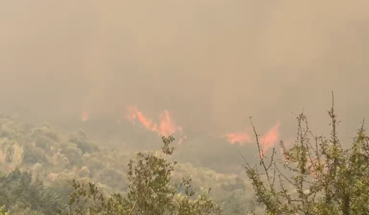 Zjarri vijon prej 24 orësh në kodrat e Bardhajve  dhjetëra forca të ushtrisë e zjarrfikës në terren