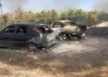 Zjarri në Levan/ Flakët përfshijnë makinat e dy policëve që u shkuan në ndihmë banorëve