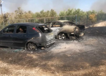 Zjarri në Levan/ Flakët përfshijnë makinat e dy policëve që u shkuan në ndihmë banorëve