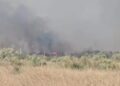 Flakët përfshijnë një stan në fshatin Akërni të Vlorës, zjarrfikësit nisen drejt vendngjarjes
