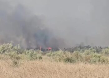 Flakët përfshijnë një stan në fshatin Akërni të Vlorës, zjarrfikësit nisen drejt vendngjarjes