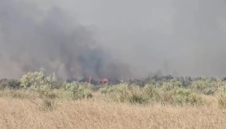 Flakët përfshijnë një stan në fshatin Akërni të Vlorës  zjarrfikësit nisen drejt vendngjarjes