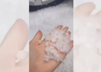 Kapriçot e motit, gjysmë ore breshër në zonat e Devollit, dyshohet për dëme të mëdha në bujqësi